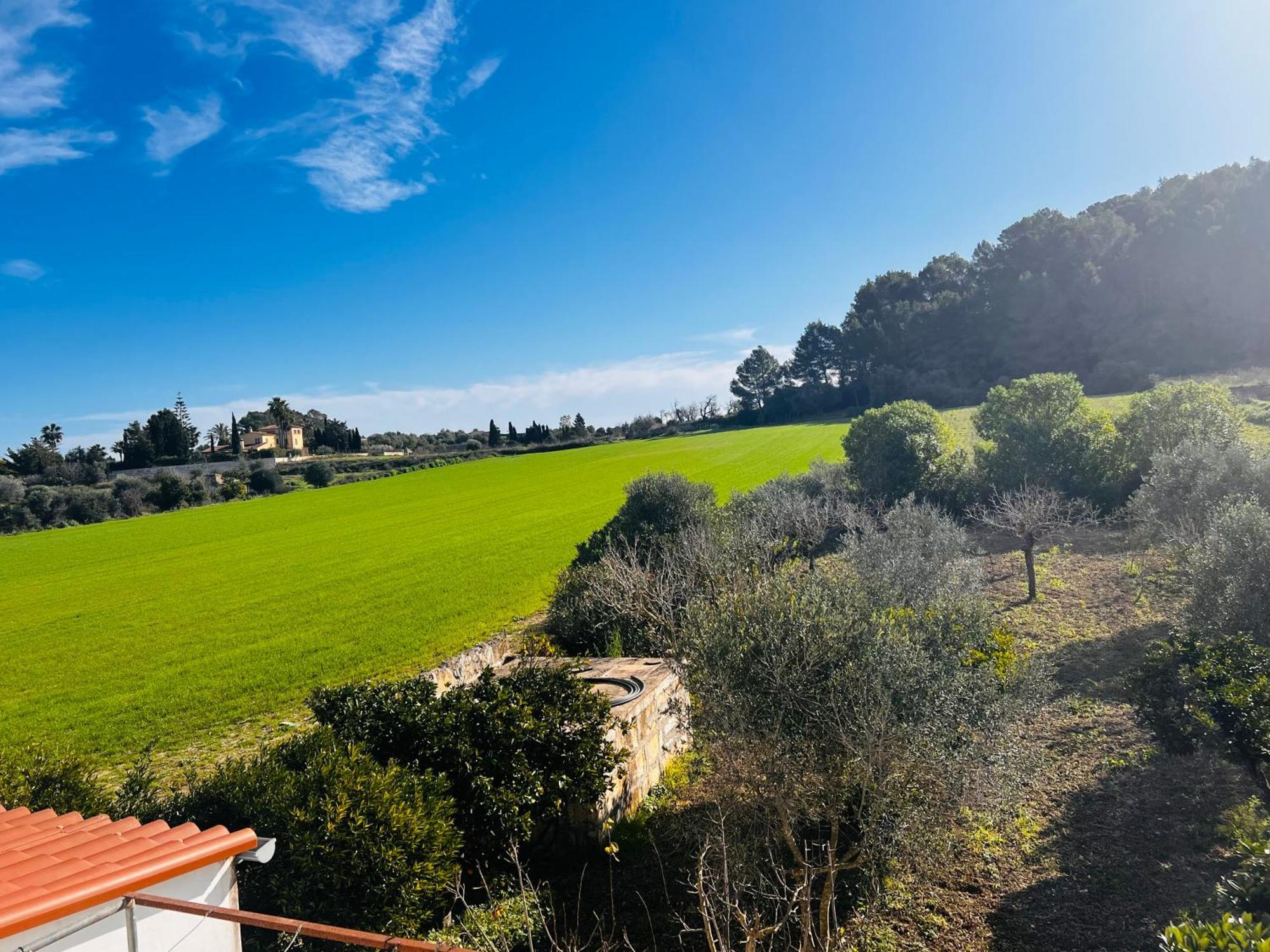 Es Puig Santa Margalida