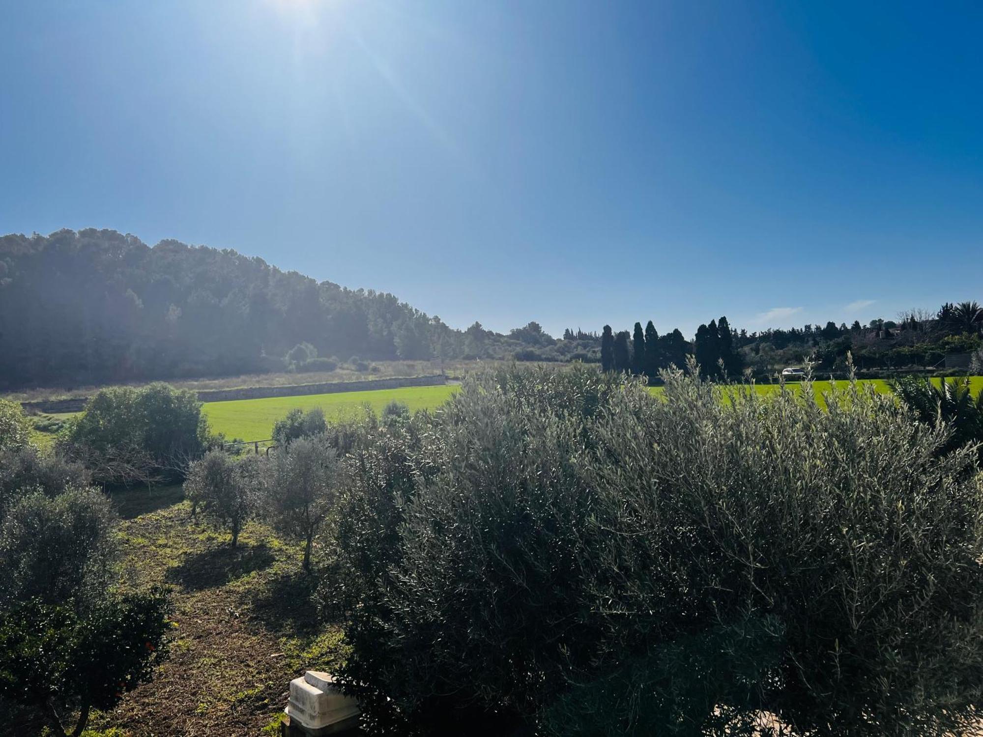 Es Puig Ferienhaus